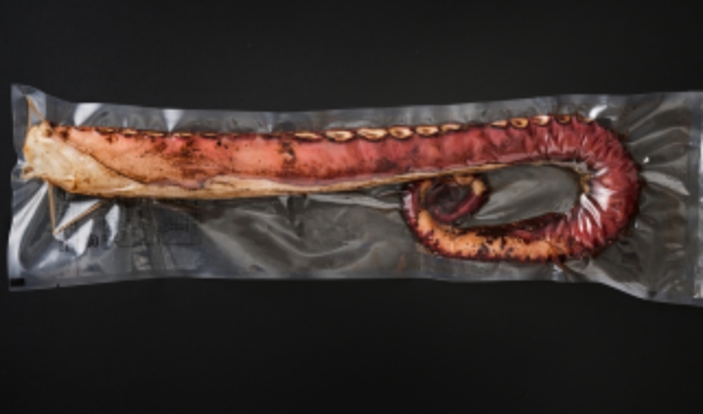 活蛸の炙り焼き