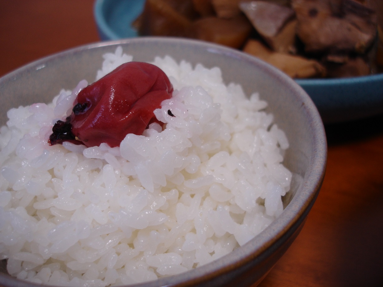 有機JASササニシキ-03