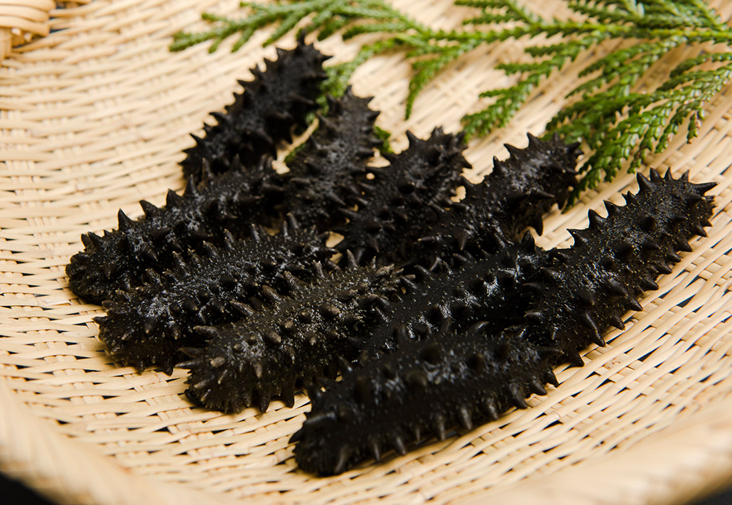 宮城県産 塩蔵なまこ