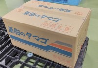 鶏卵（業務用10kg）-02