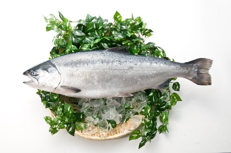 みやぎサーモン(お刺身用)-02