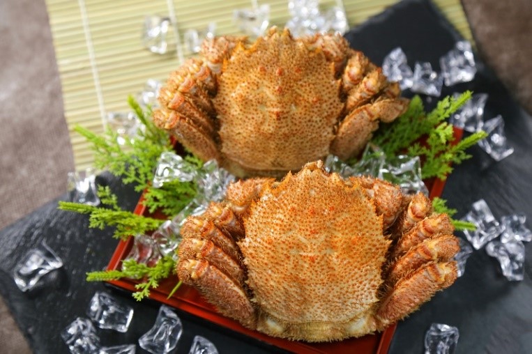 三陸産　毛蟹