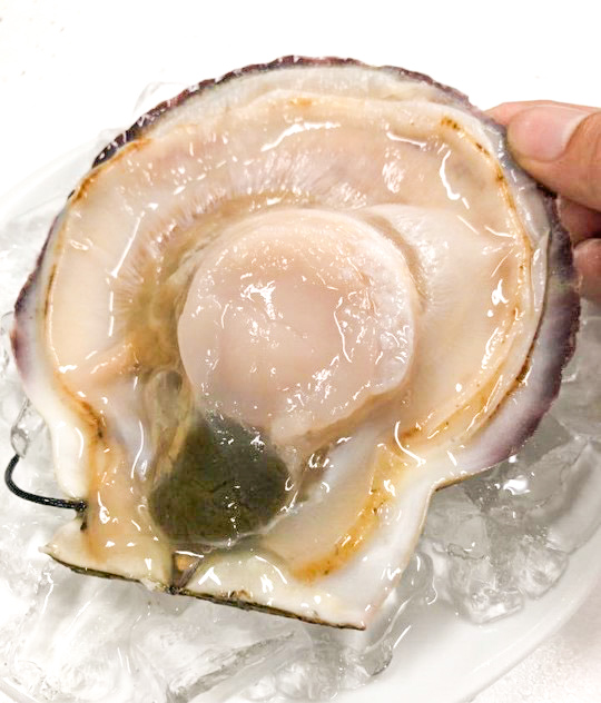 冷凍殻付ホタテ