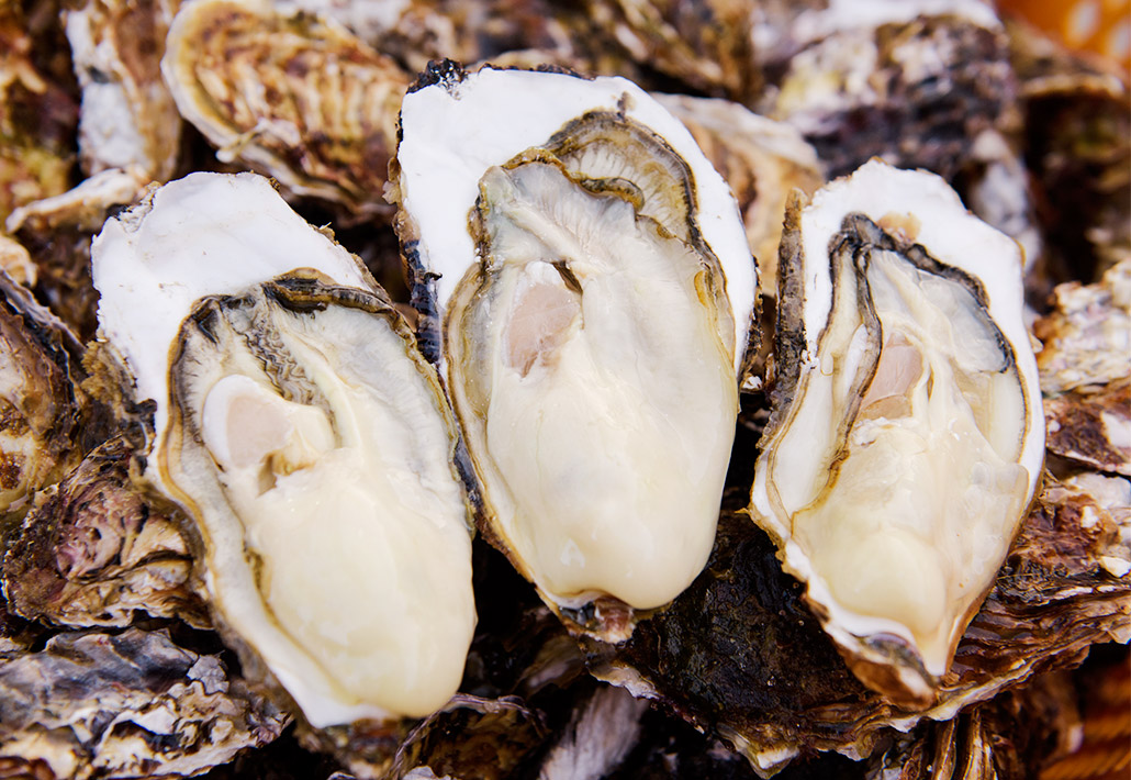 生食用牡蠣（従来養殖牡蠣）-02