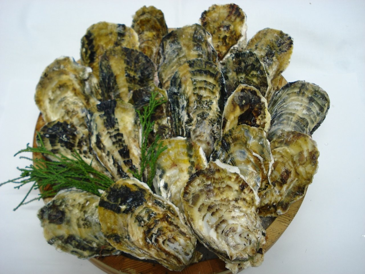 殻付牡蠣　加熱用-02